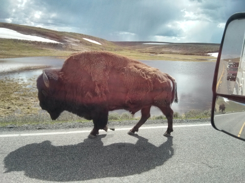 Yellowstone National Park