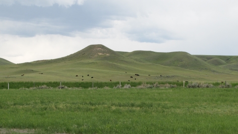 Wyoming