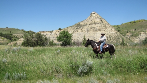 Theodore Roosevelt National Park