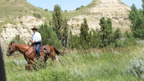 Theodore Roosevelt National Park