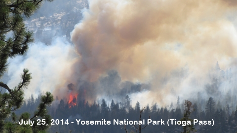 Yosemite National Park, Inyo National Park