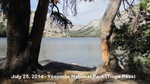 Yosemite National Park, Inyo National Park