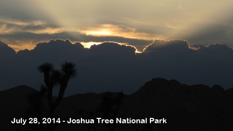 Joshua Tree National Park