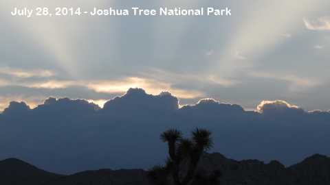 Joshua Tree National Park