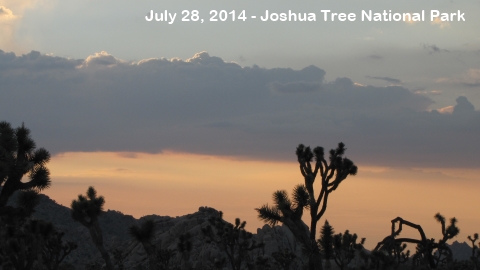 Joshua Tree National Park