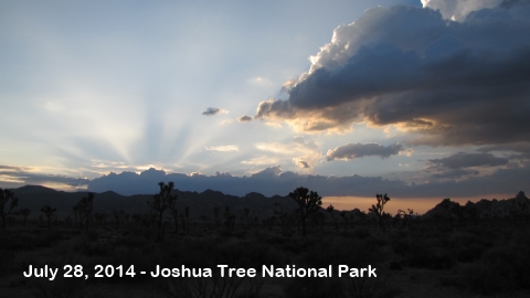 Joshua Tree National Park