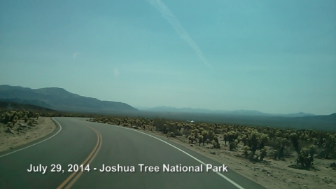 Joshua Tree National Park