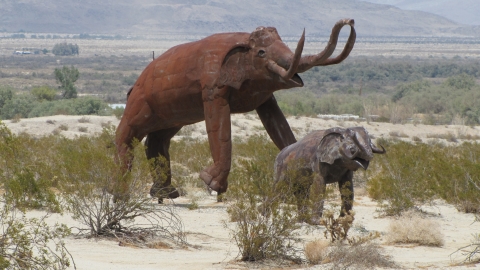 Anza-Borrego Desert Park