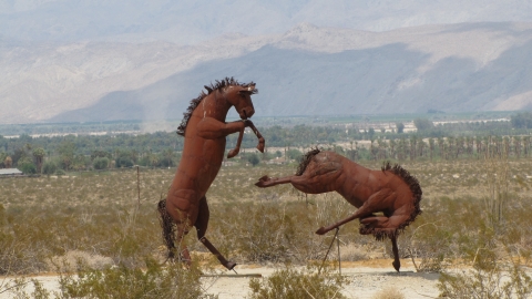 Anza-Borrego Desert Park