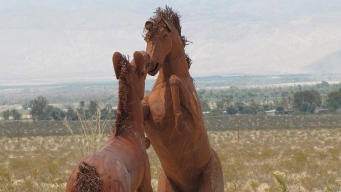 Anza-Borrego Desert Park