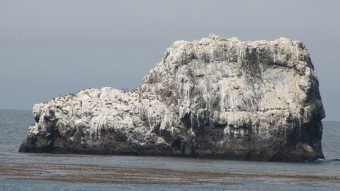 Hwy. 1 (Pacific Coast Highway)